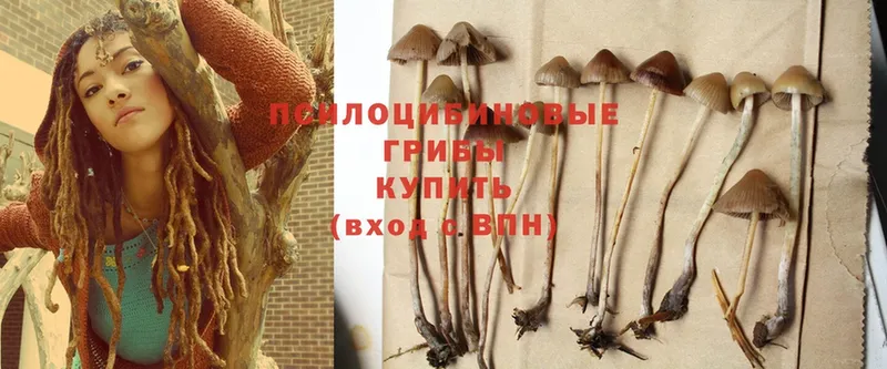 Псилоцибиновые грибы Magic Shrooms  блэк спрут маркетплейс  Саки 